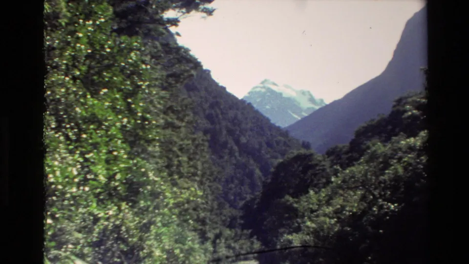 1982 New Zealand 8mm view of dense green forest on a mountain slope, with a distant snow-capped peak beyond the valley.
