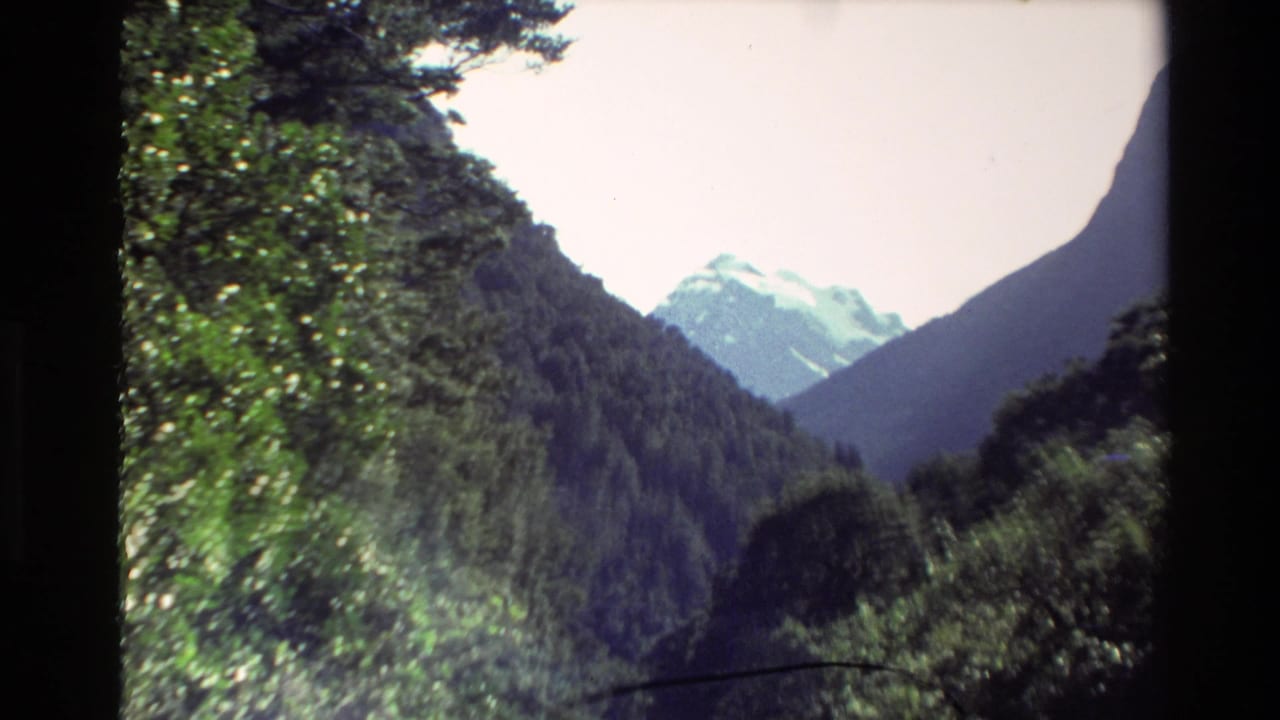 1982 New Zealand 8mm frame showing a forested valley, dark foreground trees, and a distant snow-capped peak under a pale sky.
