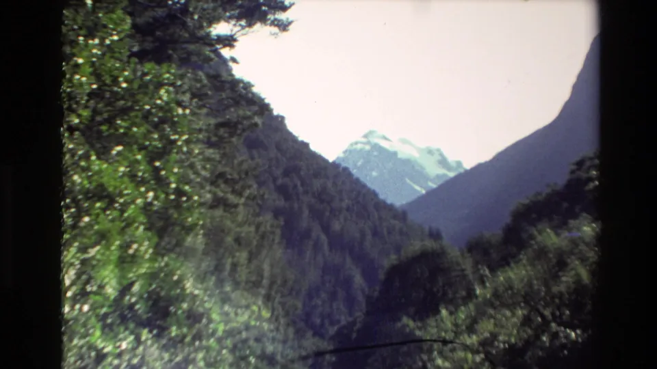 1982 New Zealand 8mm frame showing a forested valley, dark foreground trees, and a distant snow-capped peak under a pale sky.