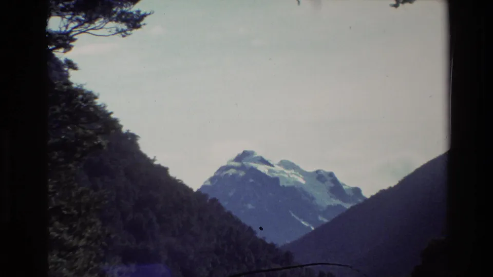 1982 New Zealand 8mm frame with a snow-capped mountain centered between shadowed forest slopes and overhanging branches.