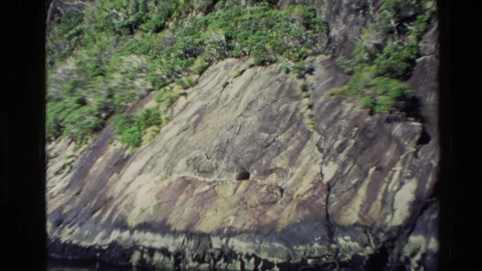 1982 New Zealand 8mm frame of a sloped rock face, shoreline marks, and dense green vegetation above the cliff.