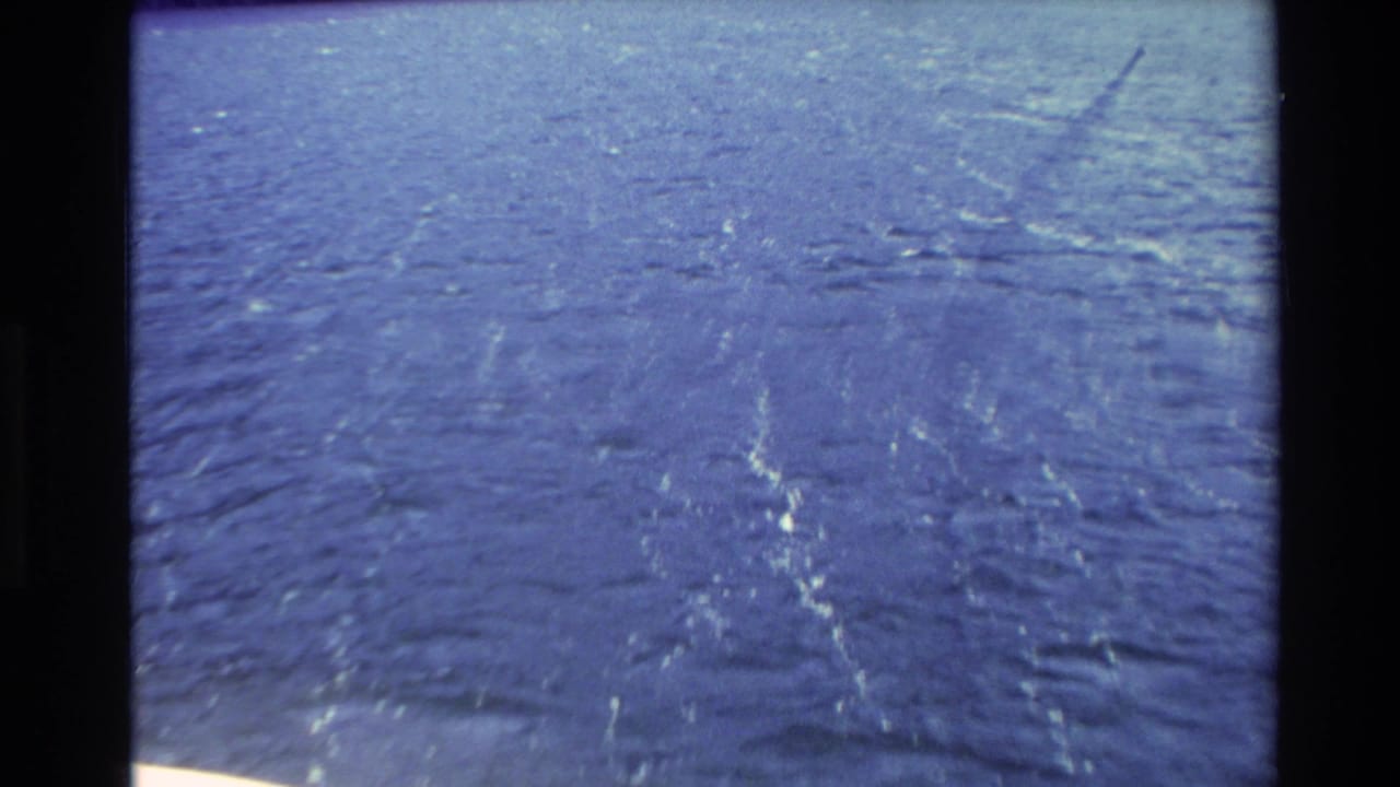 1982 New Zealand 8mm frame showing choppy blue ocean from a distant handheld viewpoint, with no clear people visible in this moment.