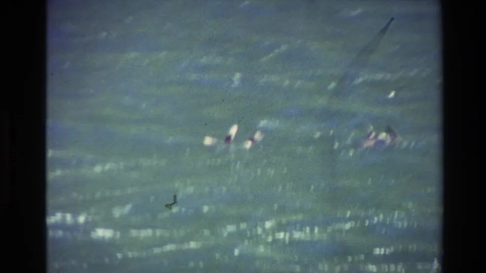 Distant 1982 New Zealand surf scene with small people and pale boards scattered across choppy green-blue water.