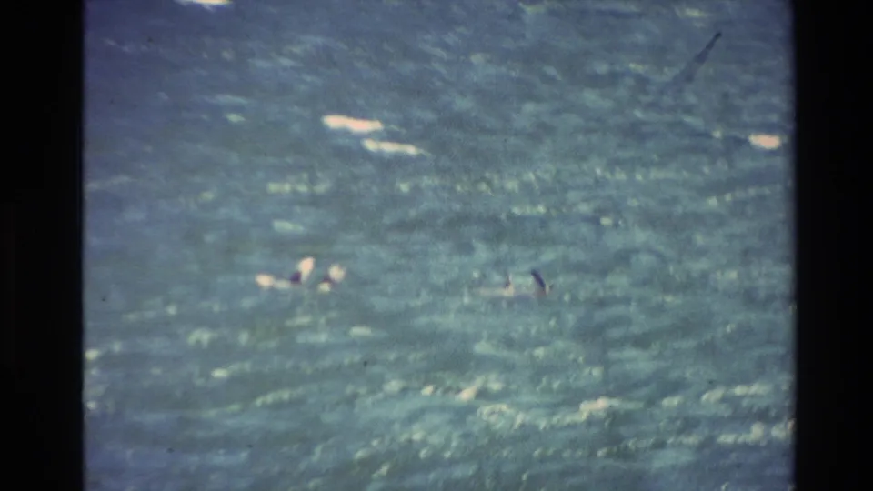 Late frame of the 1982 New Zealand 8mm clip with distant people and surfboards spread across a choppy ocean surface.