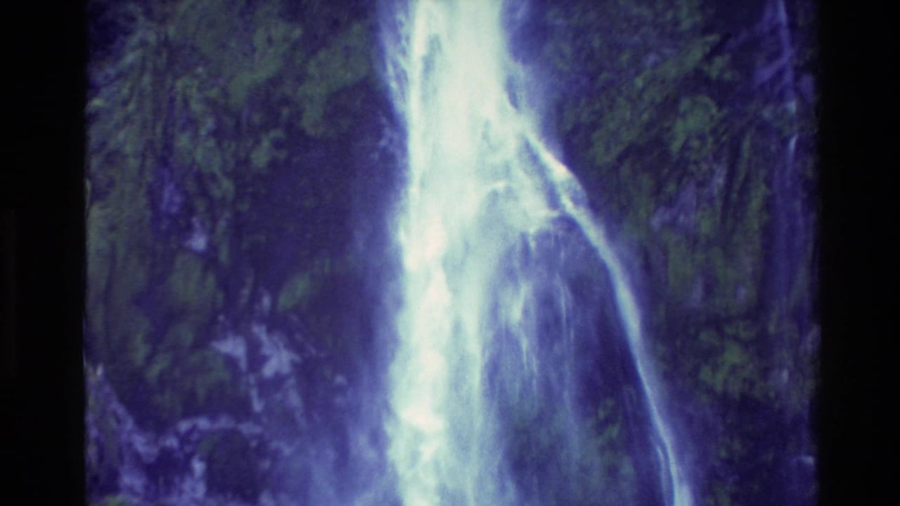 Close view of white waterfall water descending beside dark foliage and rock.