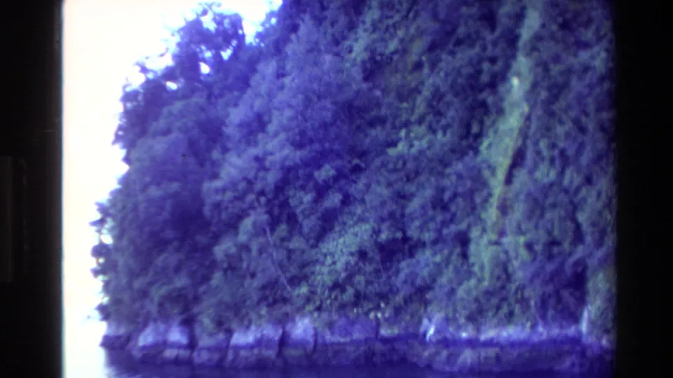 A New Zealand waterway shoreline in 1982, seen from a moving boat with dense trees and blue-shifted film color.