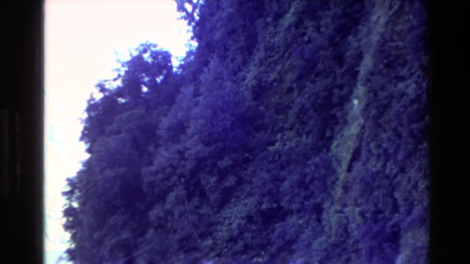 Forested New Zealand cliff or steep bank filmed from a boat, with handheld 8mm softness and purple-blue shift.