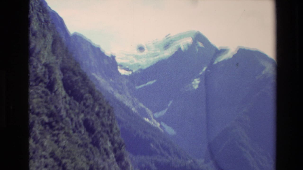 Steep forested valley with a snow-covered mountain ridge in the distance.