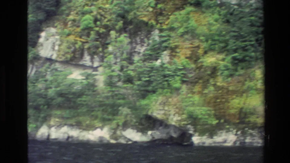 The view shifts to a lush New Zealand shoreline, with dense green forest, exposed rock, and dark water below.