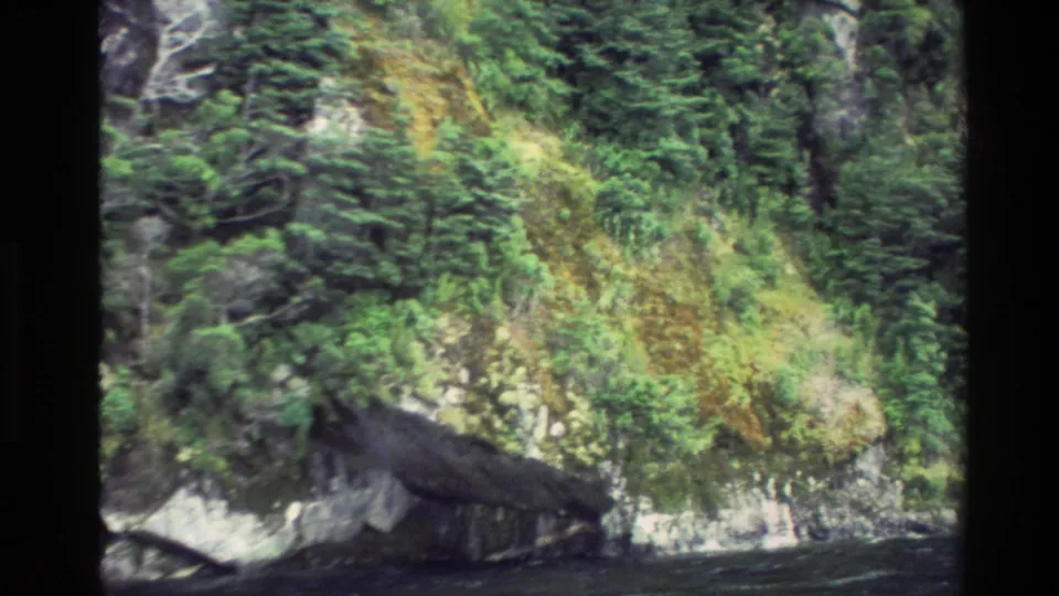1982 New Zealand 8mm frame of a wooded cliff slope and rock shelf viewed from a slowly moving boat.