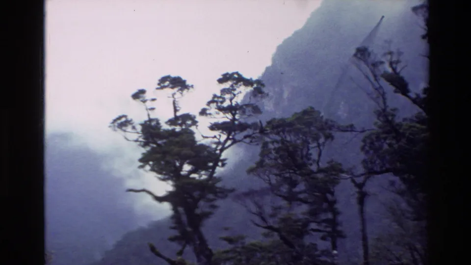1982 New Zealand 8mm frame showing tall rainforest trees with mist drifting over a dark mountain slope.