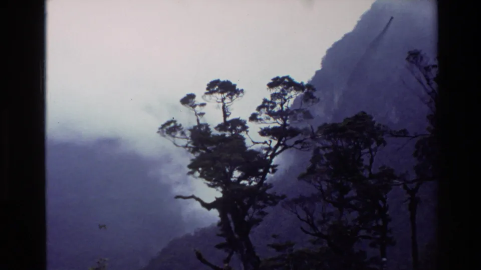 1982 New Zealand 8mm frame with dark tree silhouettes beneath mist and a steep mountain face.