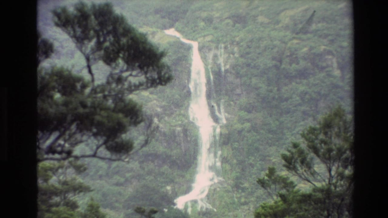 1982 New Zealand 8mm frame of a tall white waterfall cutting down a lush mountainside behind silhouetted pine branches.