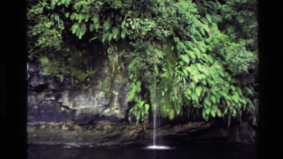 1982 New Zealand 8mm close view of a small waterfall dropping through lush foliage into a shaded pool.