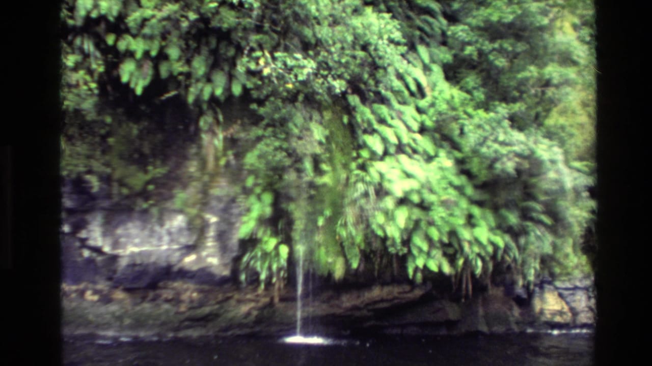 1982 New Zealand 8mm frame showing a narrow waterfall beneath lush ferns and a rocky cliff beside dark water.