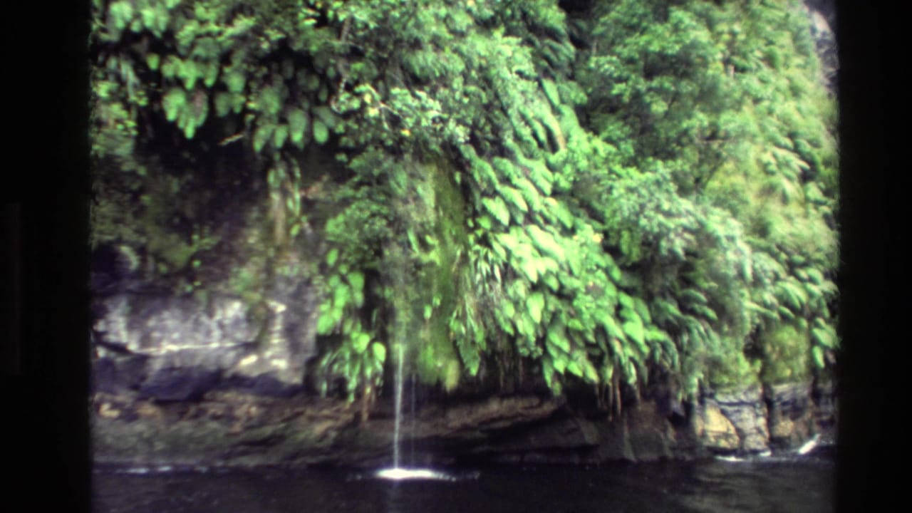 Ferny cliff face and narrow waterfall above a dark river.