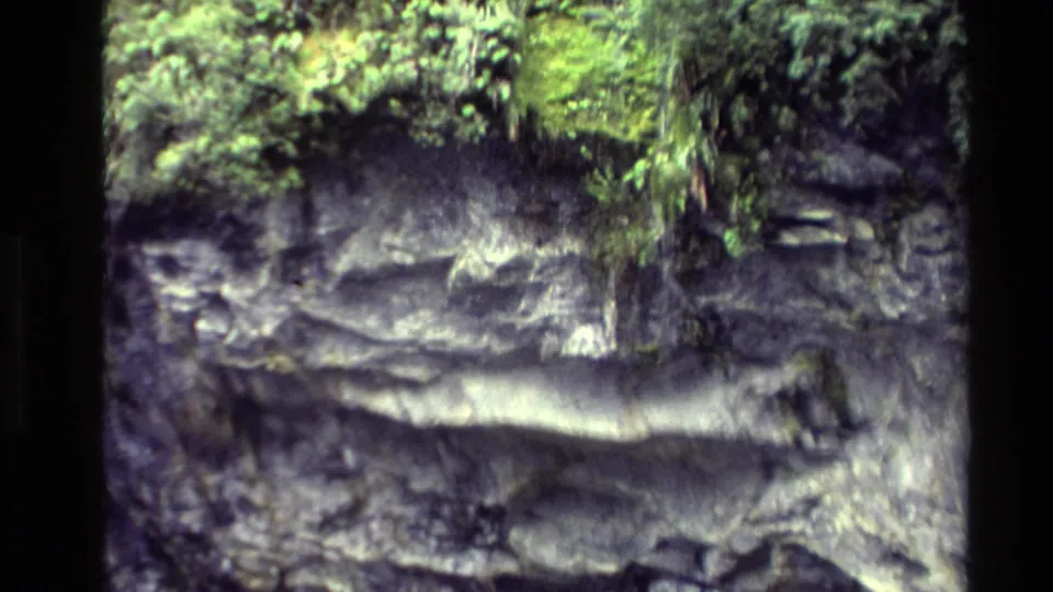 The frame shifts toward layered cliff rock and riverside greenery, with ferns hanging over the stone ledges.