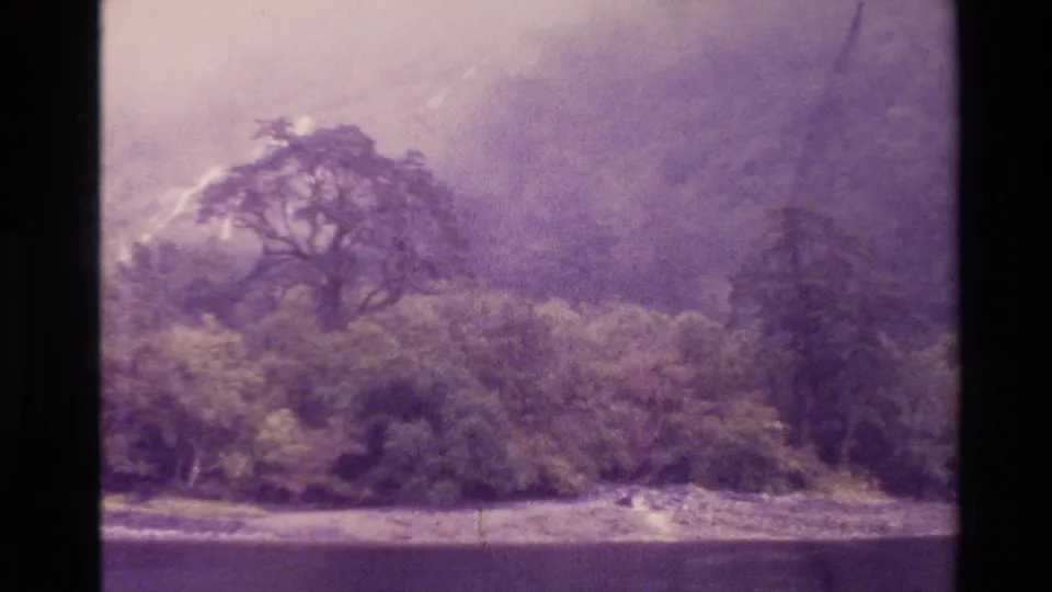 1982 New Zealand 8mm frame showing shoreline water, dense trees and smoke-hazed mountains beyond, with dark film or vehicle framing.
