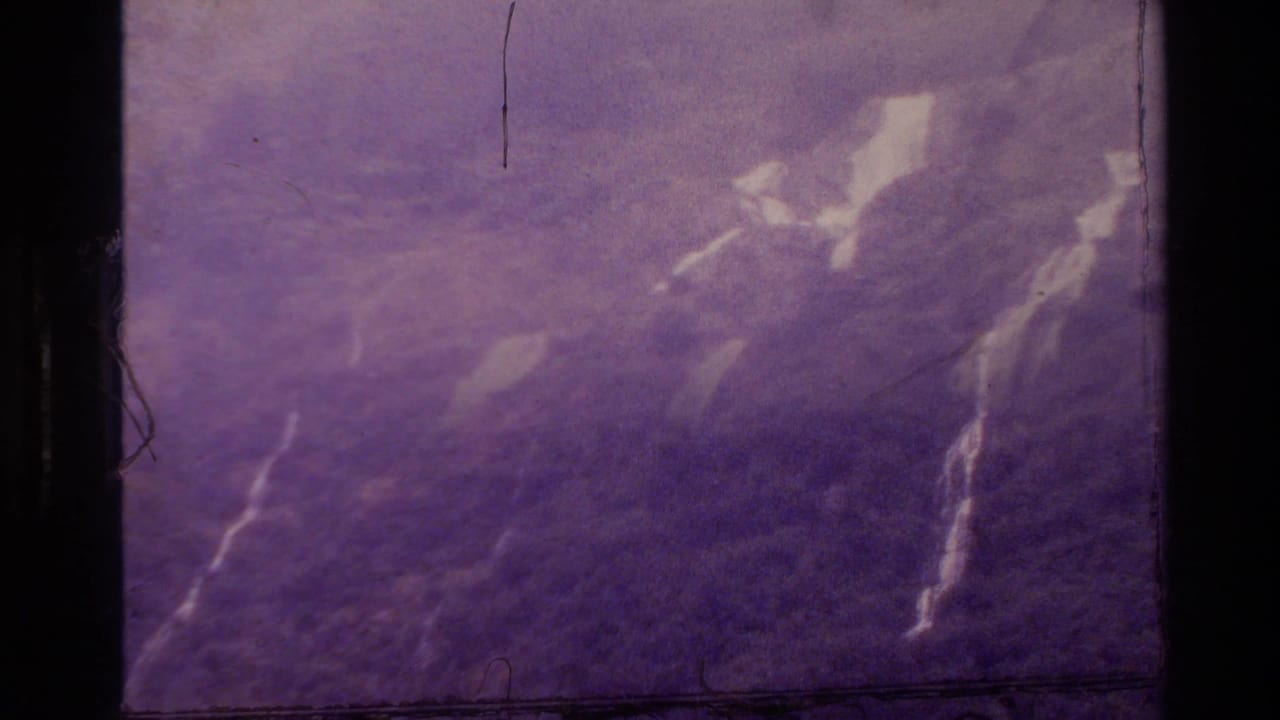 Hazy purple hillside with dense trees, bright slope streaks, scratches, and dust.