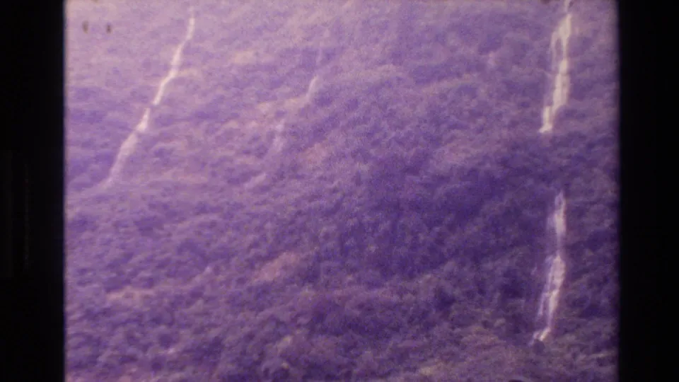 1982 New Zealand 8mm frame of dense hillside vegetation seen through haze, with purple color shift, grain, scratches, and pale marks on the slope.