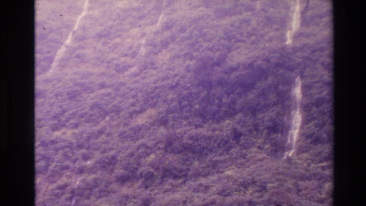 1982 New Zealand 8mm aerial view over rugged forested terrain, with pale watercourses or gullies visible through a purple film cast.
