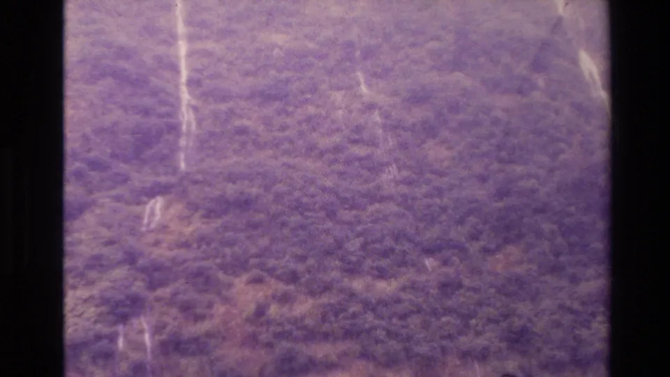 1982 New Zealand aerial frame with dense vegetation, pale drainage lines or gullies, and a faded purple 8mm home-movie look.
