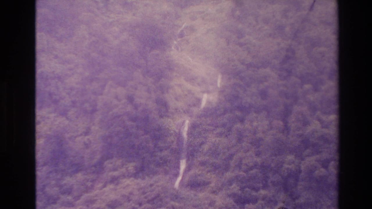1982 New Zealand 8mm aerial frame showing dense forest canopy and a narrow pale river or waterfall line through the trees.