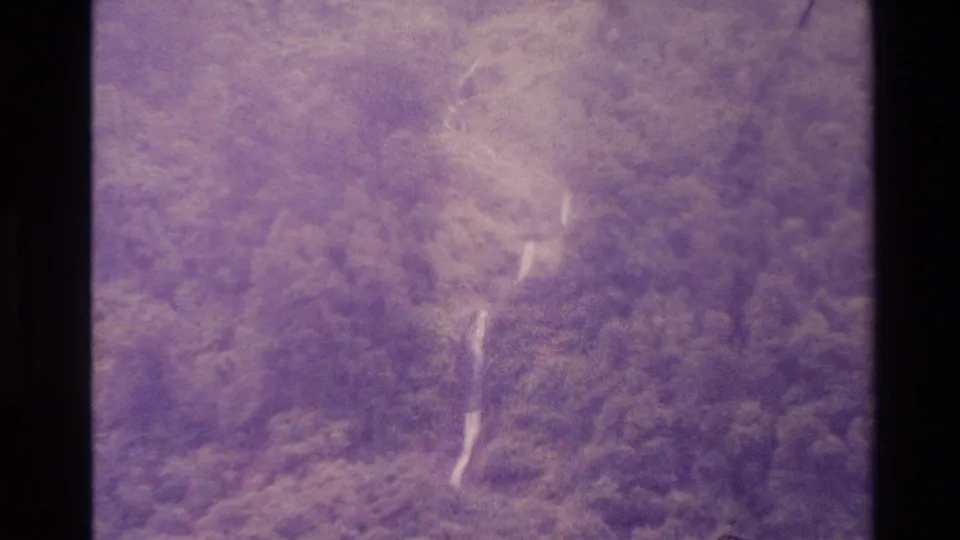1982 New Zealand 8mm aerial frame showing dense forest canopy and a narrow pale river or waterfall line through the trees.