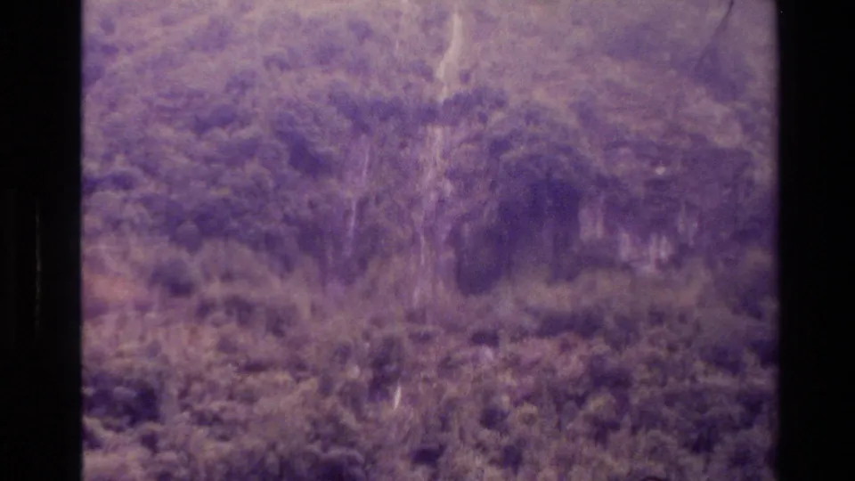 1982 New Zealand aerial 8mm frame looking down over thick forest vegetation with no visible people or structures.