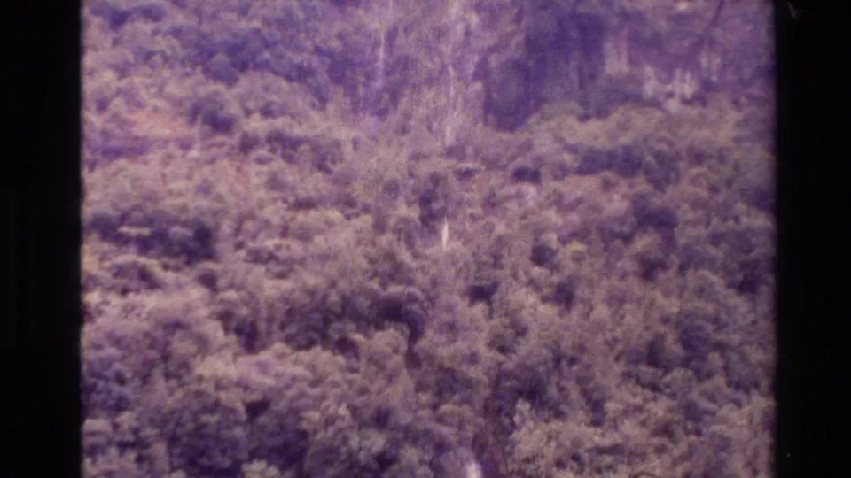 1982 New Zealand 8mm aerial frame showing treetops and a narrow pale watercourse partly obscured by forest canopy.