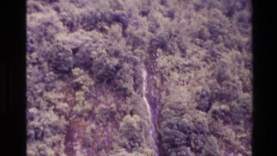 1982 New Zealand aerial 8mm frame with dense green forest and a bright narrow river or waterfall cutting through the canopy.