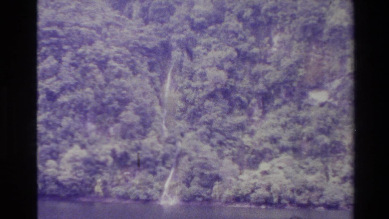 Forested hillside with a thin waterfall reaching toward calm water below.
