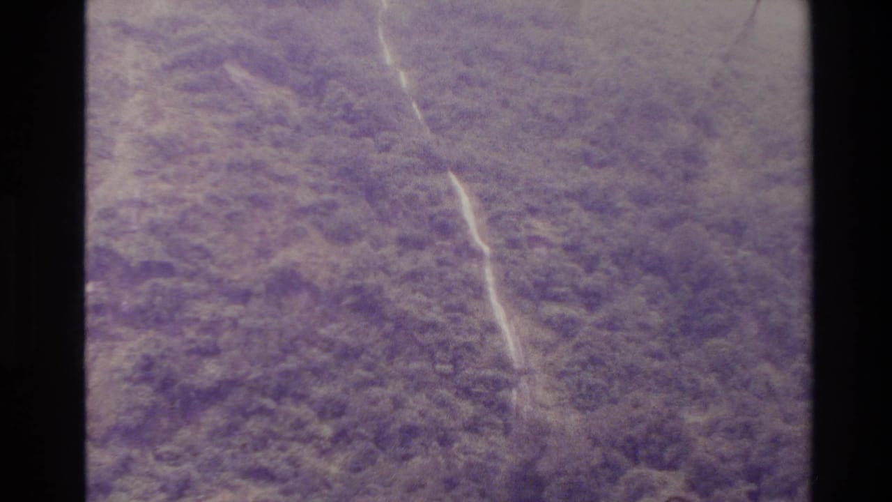 Forested mountain slope with a pale stream line seen through purple-tinted 8mm film.