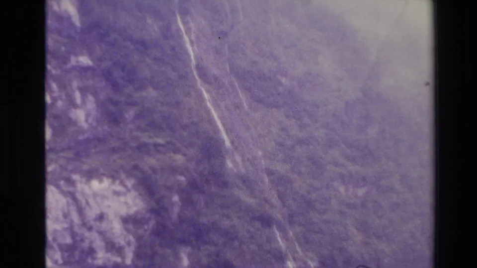 1982 New Zealand 8mm frame showing a soft, purple-cast view of dense riverside woods and pale tree forms.