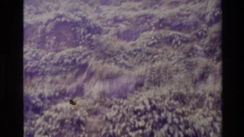 1982 New Zealand 8mm frame showing a leafy slope, small waterfall channel, and visible dust or debris on the film scan.