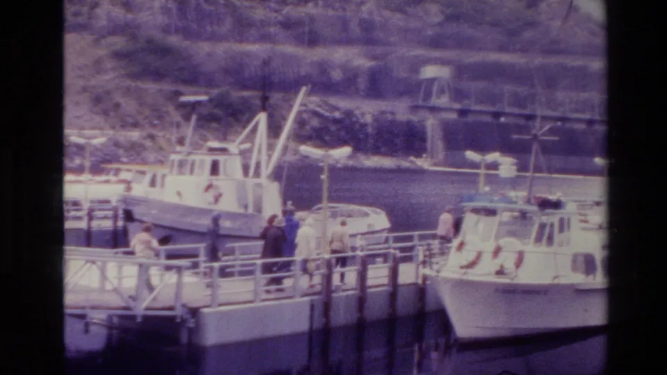 1982 New Zealand dock scene with people near moored white passenger boats and a hillside across the water.
