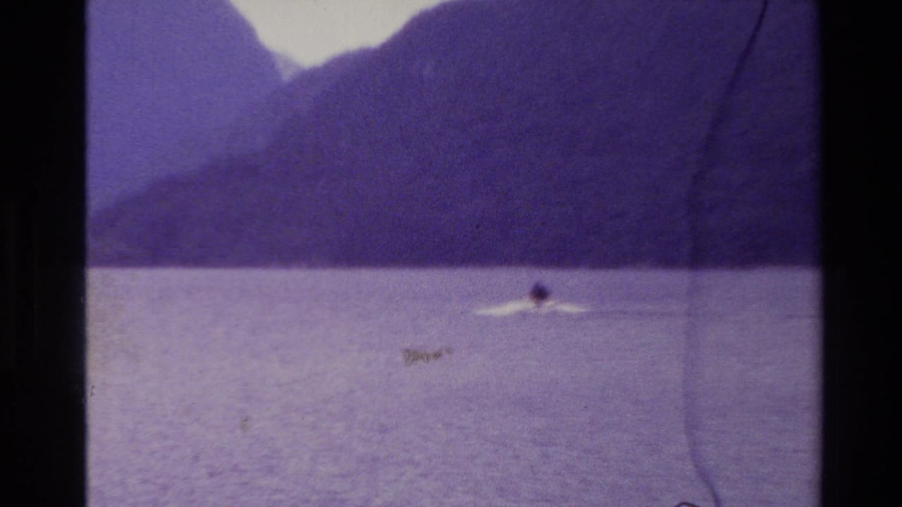 Small surfer or swimmer on open water with mountains in the background.