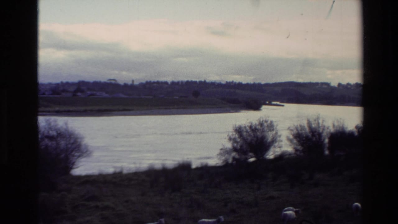 Wide lake view with low hills, shoreline trees, cloudy sky, and sheep at the lower edge.