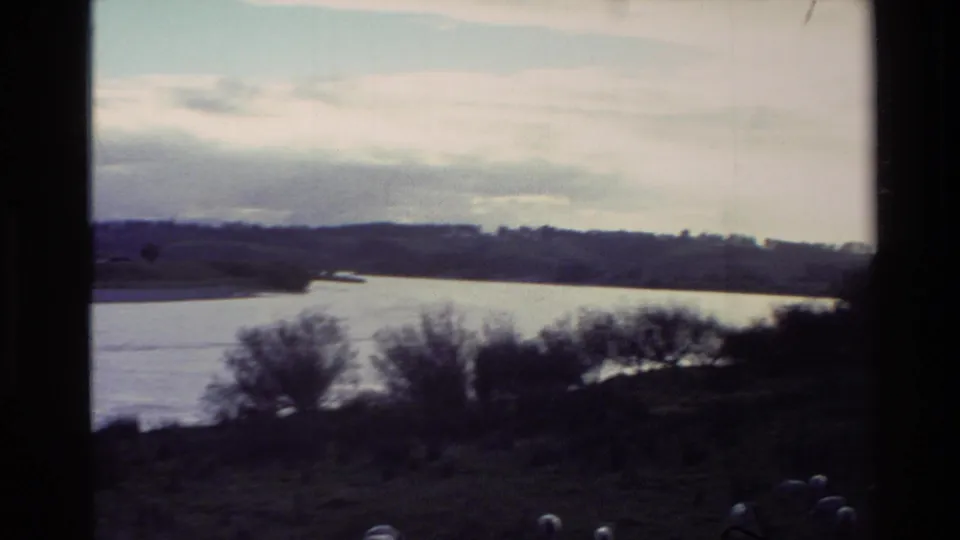 1982 New Zealand 8mm frame showing a calm lake bordered by low hills and trees, with dark pasture and sheep in the foreground.