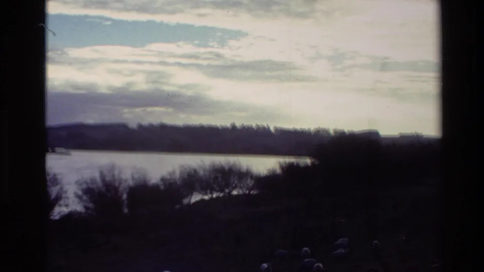 1982 New Zealand 8mm frame with a bright clouded sky over a lake, dark shoreline trees, low hills, and sheep at the pasture edge.