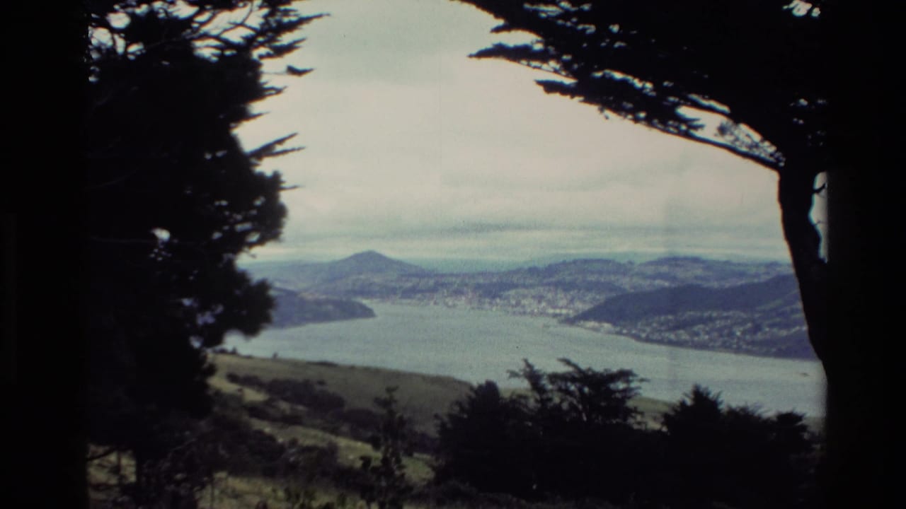 Elevated bay view framed by dark trees with hills and shoreline beyond.
