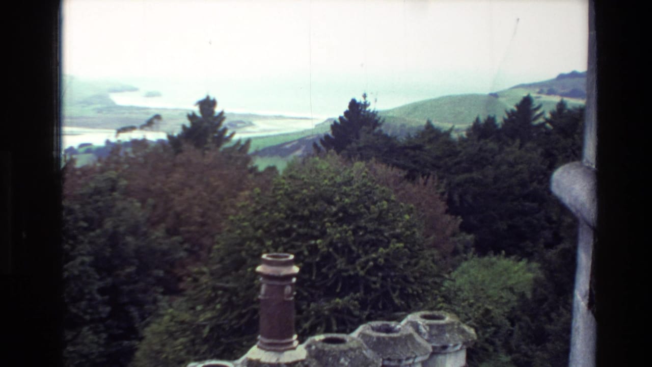 Elevated view over trees, hills, water, chimney pots, and stone roof detail.