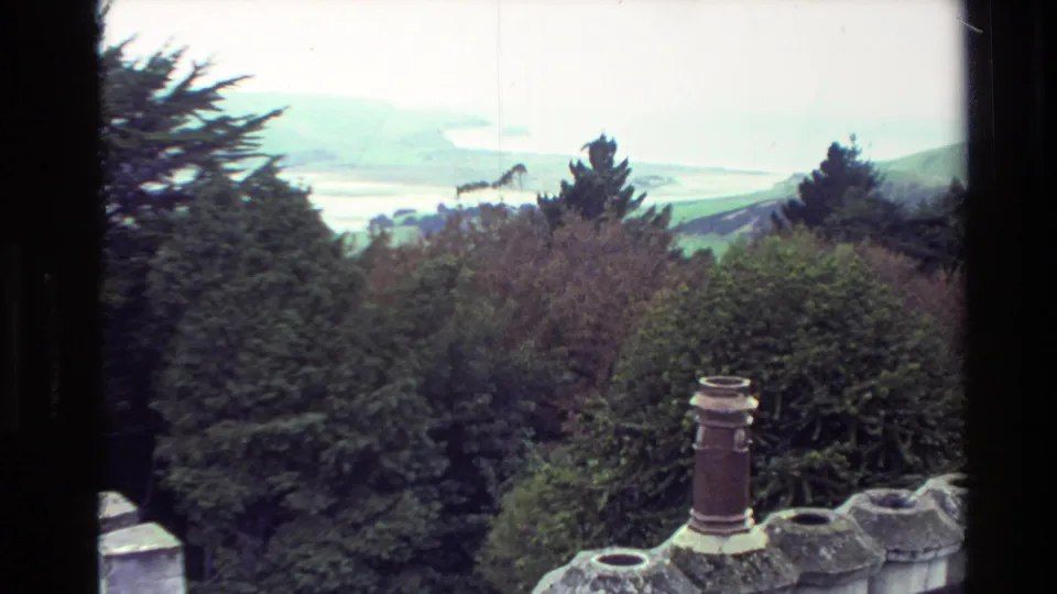 1982 New Zealand 8mm frame showing dense garden vegetation and chimney pots, with hills and water visible through the trees.