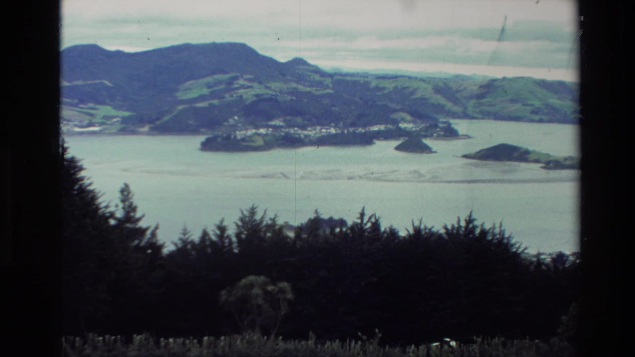 New Zealand landscape view with water, rolling hills, islands or peninsulas, and dark foreground trees in 1982 8mm footage.
