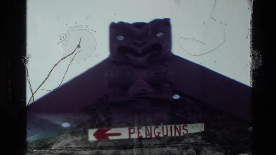 Soft-focus 1982 New Zealand frame with a carved roof figure above a weathered sign pointing toward penguins.
