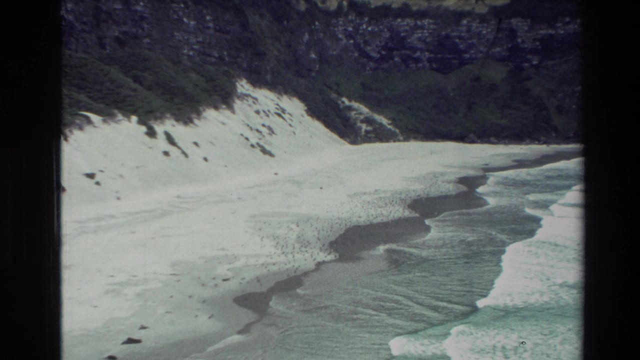 1982 New Zealand 8mm frame showing surf rolling onto a wide sandy beach beneath dark green coastal cliffs.