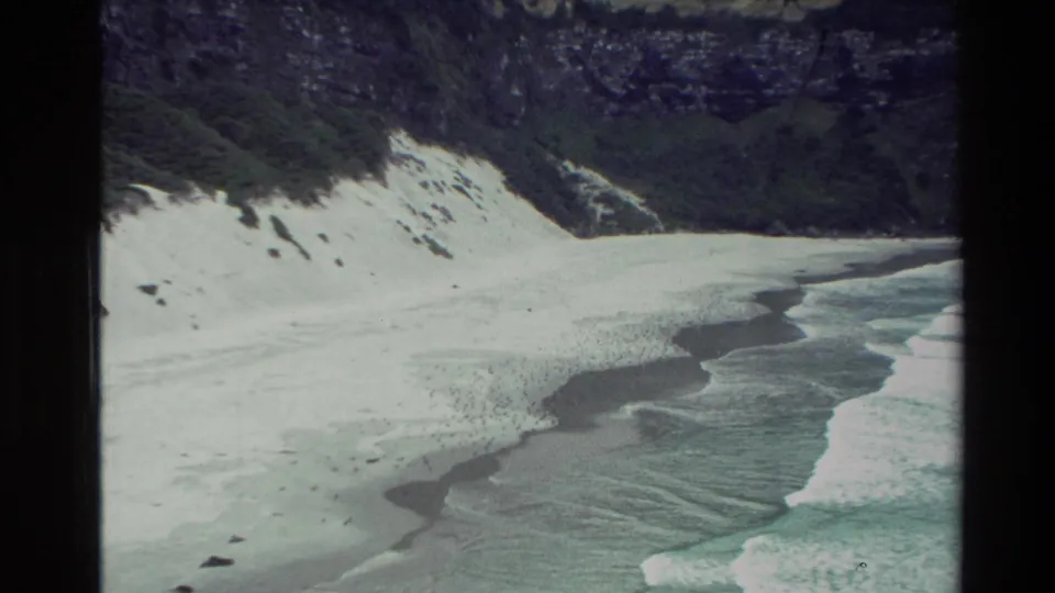 1982 New Zealand 8mm frame showing surf rolling onto a wide sandy beach beneath dark green coastal cliffs.