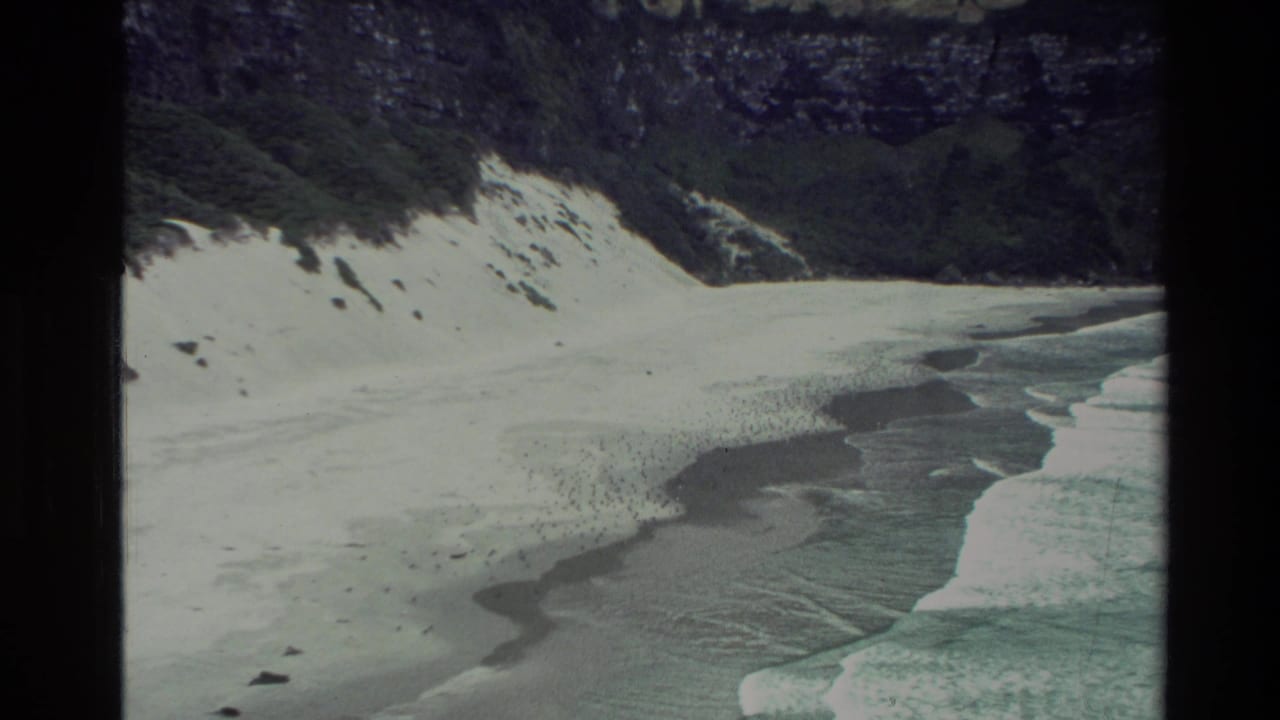 Wide beach and surf seen from above, with green cliffs at the back.