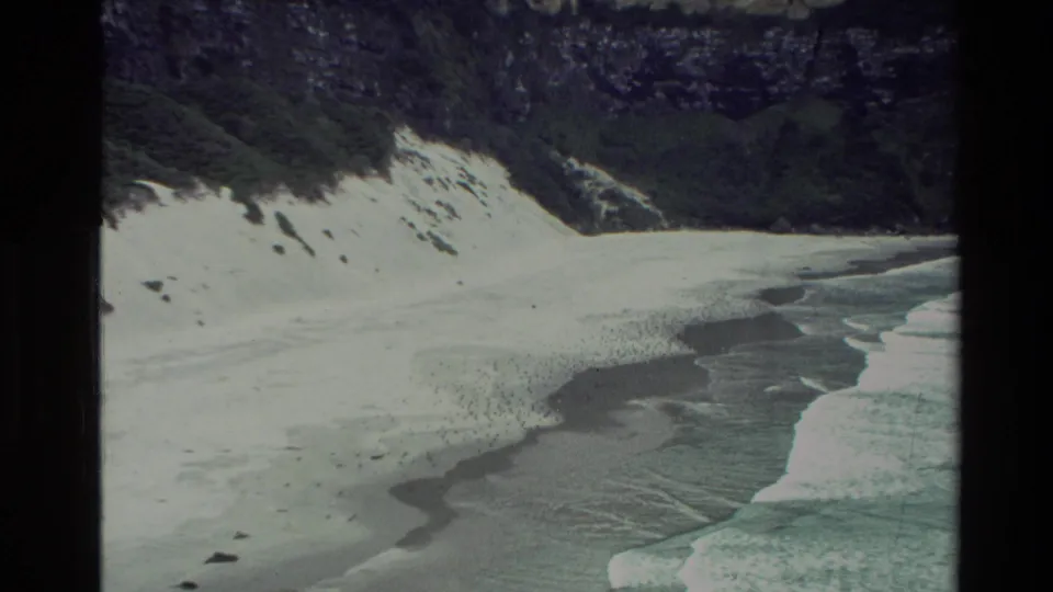 1982 New Zealand coastal frame with a broad sandy beach, foaming waves, and cliff vegetation in soft 8mm color.