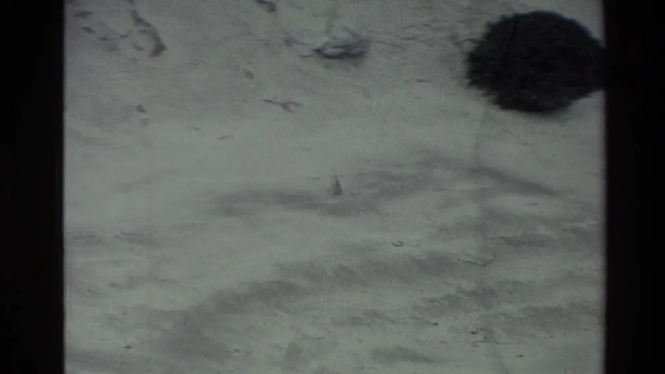Final 1982 New Zealand 8mm frame with a quiet sandy beach, dark foreground object, and a small distant figure seated on the sand.